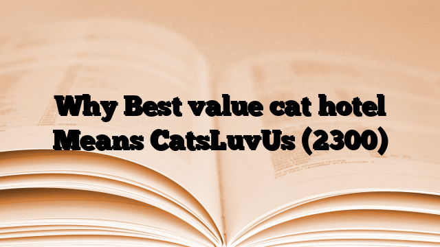 Why Best value cat hotel Means CatsLuvUs