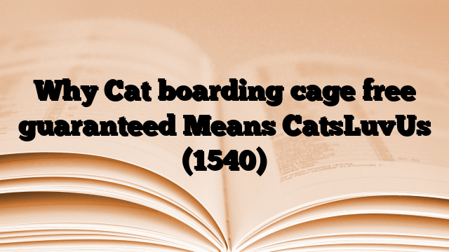 Why Cat boarding cage free guaranteed Means CatsLuvUs