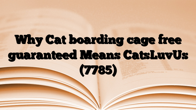 Why Cat boarding cage free guaranteed Means CatsLuvUs