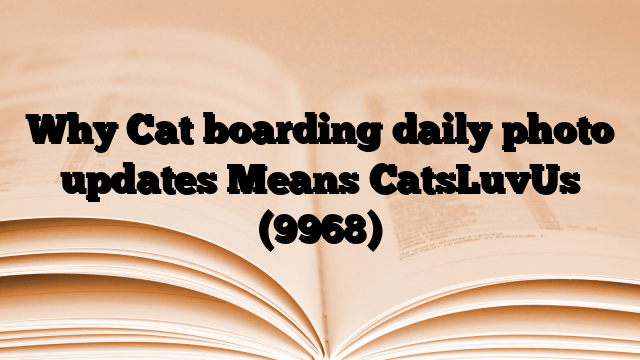 Why Cat boarding daily photo updates Means CatsLuvUs