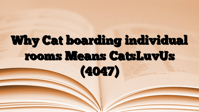 Why Cat boarding individual rooms Means CatsLuvUs