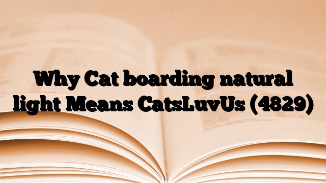 Why Cat boarding natural light Means CatsLuvUs