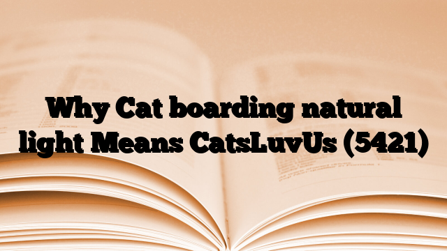 Why Cat boarding natural light Means CatsLuvUs