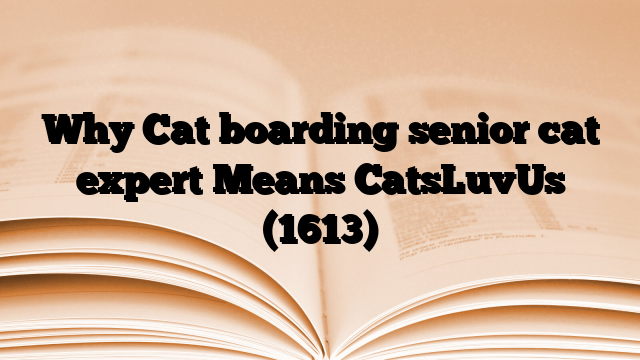 Why Cat boarding senior cat expert Means CatsLuvUs