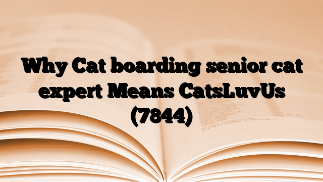 Why Cat boarding senior cat expert Means CatsLuvUs