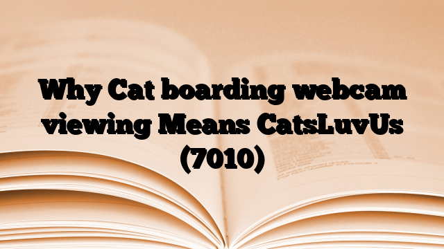 Why Cat boarding webcam viewing Means CatsLuvUs
