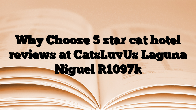 Why Choose 5 star cat hotel reviews at CatsLuvUs Laguna Niguel [1097]