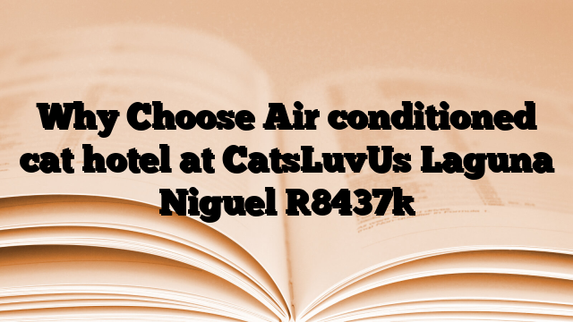 Why Choose Air conditioned cat hotel at CatsLuvUs Laguna Niguel