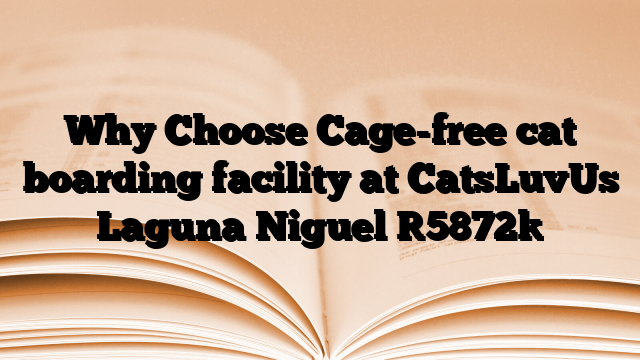 Why Choose Cage-free cat boarding facility at CatsLuvUs Laguna Niguel