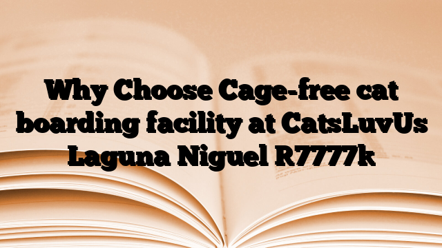 Why Choose Cage-free cat boarding facility at CatsLuvUs Laguna Niguel