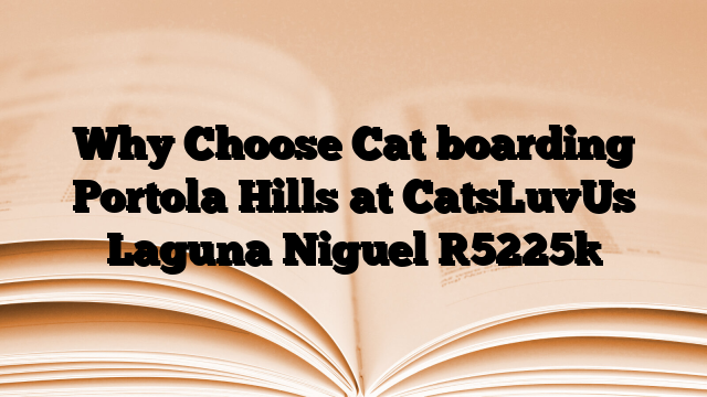 Why Choose Cat boarding Portola Hills at CatsLuvUs Laguna Niguel