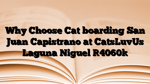 Why Choose Cat boarding San Juan Capistrano at CatsLuvUs Laguna Niguel