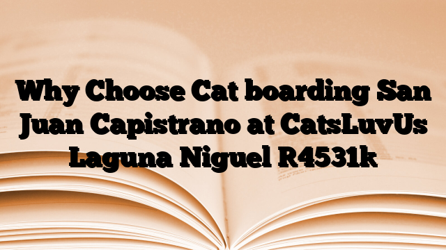 Why Choose Cat boarding San Juan Capistrano at CatsLuvUs Laguna Niguel