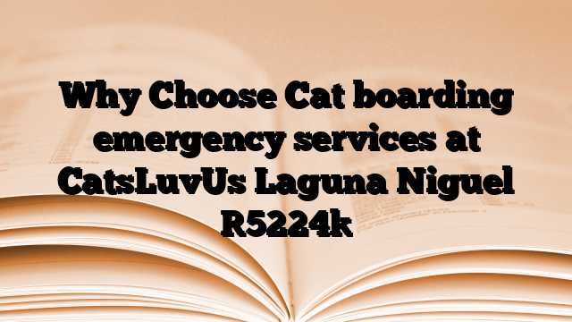 Why Choose Cat boarding emergency services at CatsLuvUs Laguna Niguel