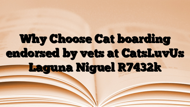 Why Choose Cat boarding endorsed by vets at CatsLuvUs Laguna Niguel