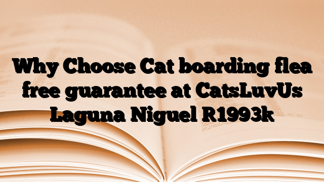 Why Choose Cat boarding flea free guarantee at CatsLuvUs Laguna Niguel
