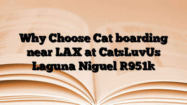 Why Choose Cat boarding near LAX at CatsLuvUs Laguna Niguel