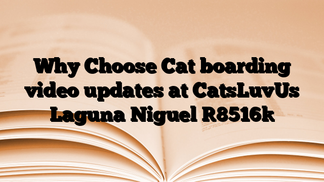 Why Choose Cat boarding video updates at CatsLuvUs Laguna Niguel