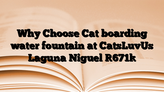 Why Choose Cat boarding water fountain at CatsLuvUs Laguna Niguel