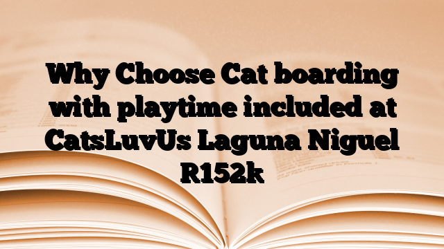 Why Choose Cat boarding with playtime included at CatsLuvUs Laguna Niguel