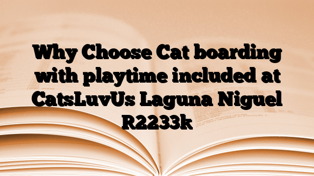 Why Choose Cat boarding with playtime included at CatsLuvUs Laguna Niguel