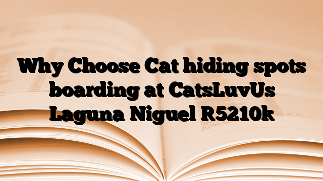 Why Choose Cat hiding spots boarding at CatsLuvUs Laguna Niguel
