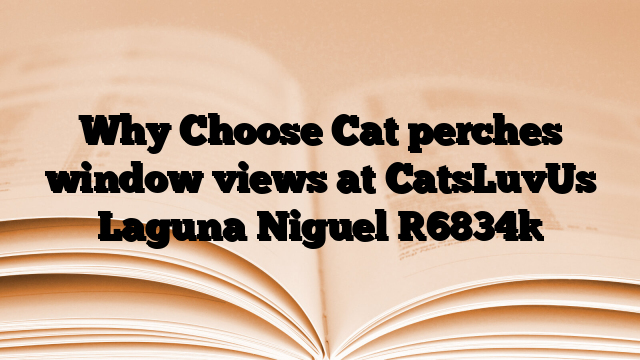 Why Choose Cat perches window views at CatsLuvUs Laguna Niguel