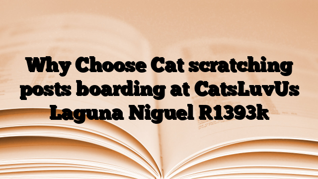 Why Choose Cat scratching posts boarding at CatsLuvUs Laguna Niguel