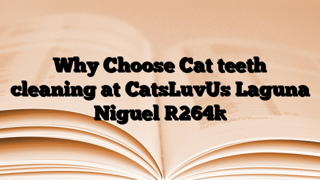 Why Choose Cat teeth cleaning at CatsLuvUs Laguna Niguel