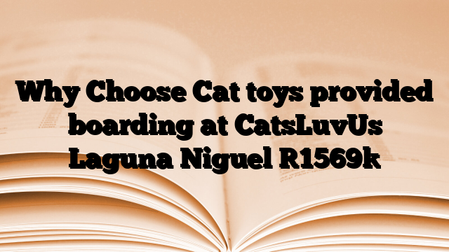 Why Choose Cat toys provided boarding at CatsLuvUs Laguna Niguel