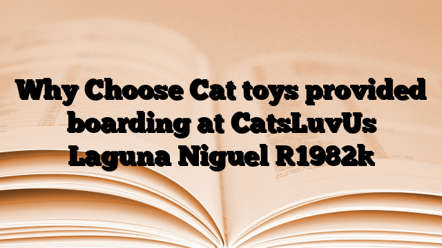 Why Choose Cat toys provided boarding at CatsLuvUs Laguna Niguel