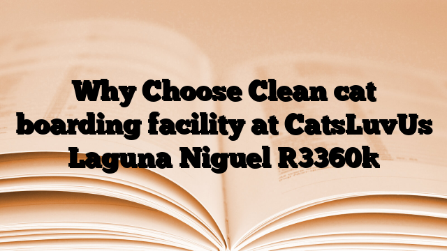 Why Choose Clean cat boarding facility at CatsLuvUs Laguna Niguel
