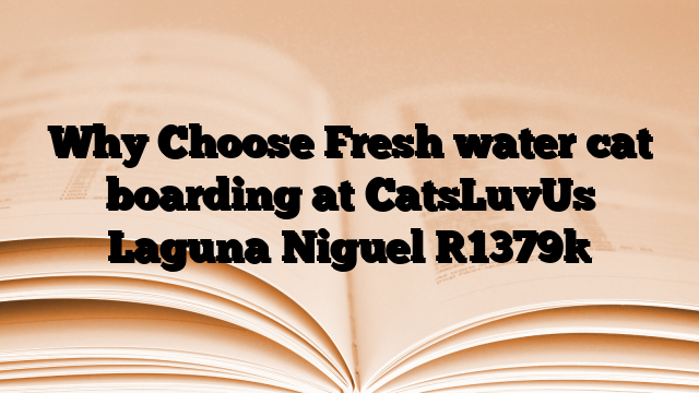 Why Choose Fresh water cat boarding at CatsLuvUs Laguna Niguel