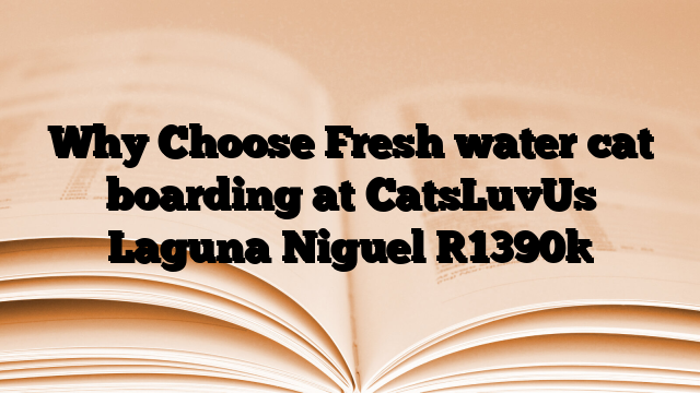 Why Choose Fresh water cat boarding at CatsLuvUs Laguna Niguel