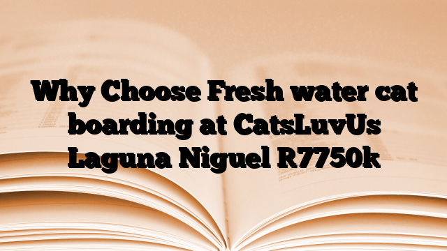 Why Choose Fresh water cat boarding at CatsLuvUs Laguna Niguel