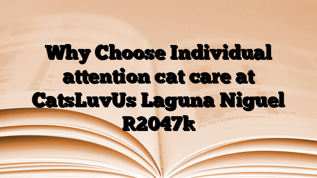 Why Choose Individual attention cat care at CatsLuvUs Laguna Niguel