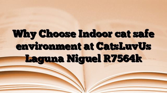 Why Choose Indoor cat safe environment at CatsLuvUs Laguna Niguel