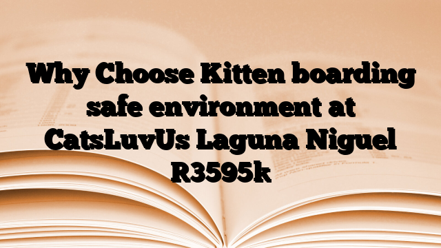 Why Choose Kitten boarding safe environment at CatsLuvUs Laguna Niguel