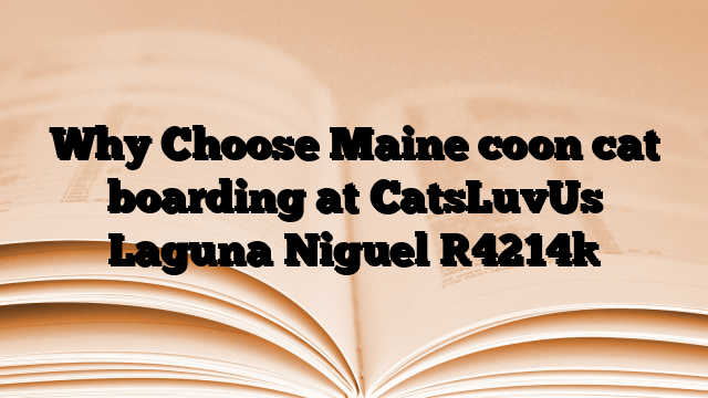 Why Choose Maine coon cat boarding at CatsLuvUs Laguna Niguel