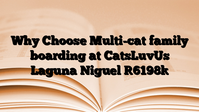 Why Choose Multi-cat family boarding at CatsLuvUs Laguna Niguel