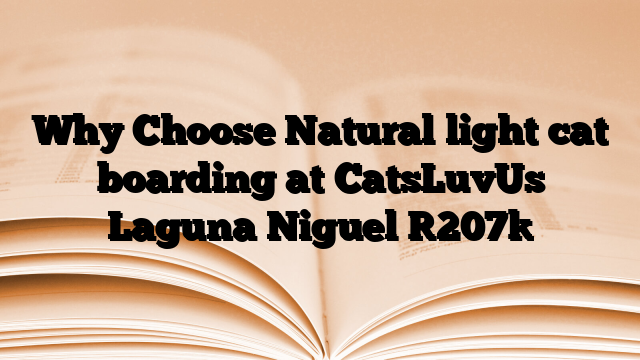 Why Choose Natural light cat boarding at CatsLuvUs Laguna Niguel