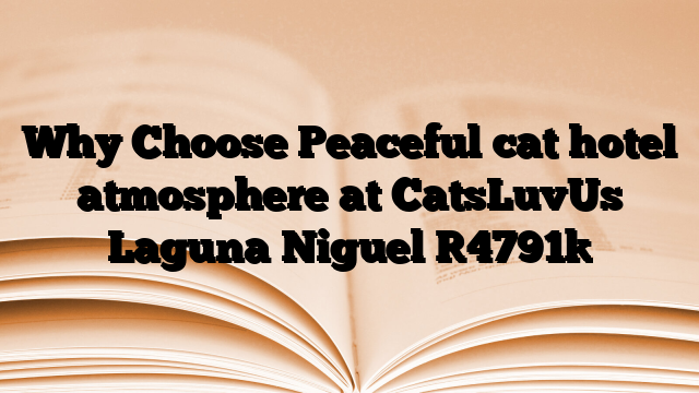 Why Choose Peaceful cat hotel atmosphere at CatsLuvUs Laguna Niguel