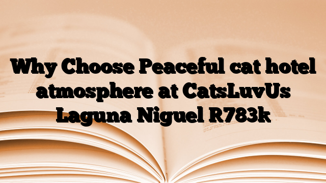 Why Choose Peaceful cat hotel atmosphere at CatsLuvUs Laguna Niguel