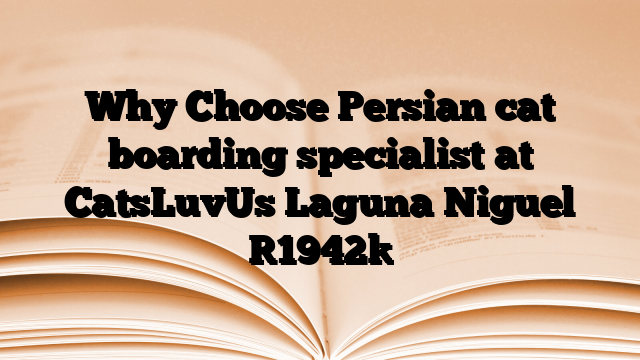 Why Choose Persian cat boarding specialist at CatsLuvUs Laguna Niguel