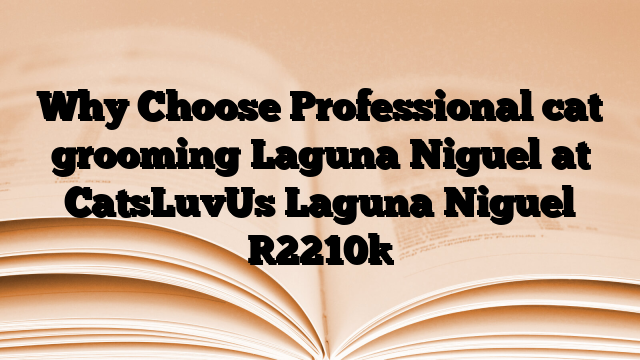 Why Choose Professional cat grooming Laguna Niguel at CatsLuvUs Laguna Niguel