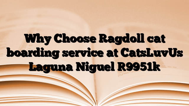 Why Choose Ragdoll cat boarding service at CatsLuvUs Laguna Niguel