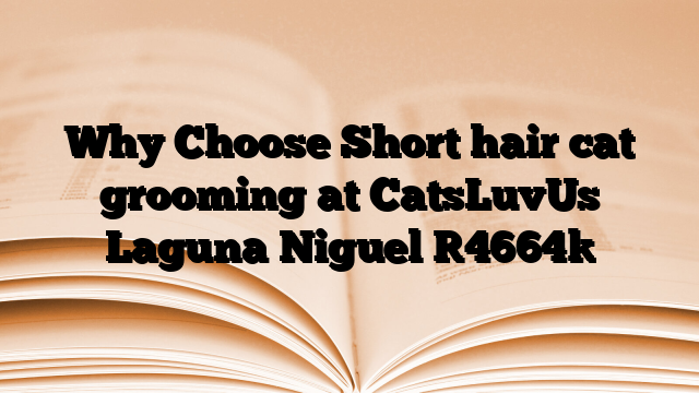Why Choose Short hair cat grooming at CatsLuvUs Laguna Niguel