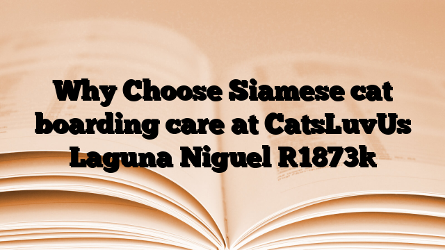 Why Choose Siamese cat boarding care at CatsLuvUs Laguna Niguel