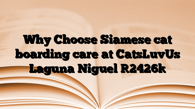 Why Choose Siamese cat boarding care at CatsLuvUs Laguna Niguel
