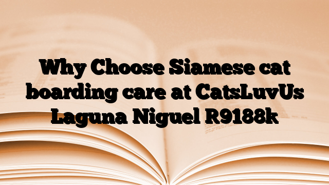 Why Choose Siamese cat boarding care at CatsLuvUs Laguna Niguel